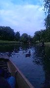 IMG_20130626_200619.jpg