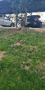 IMG_20190301_180125.jpg
