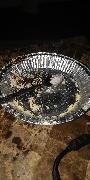IMG_20190308_123638.jpg