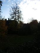 2008-11-08_000.jpg