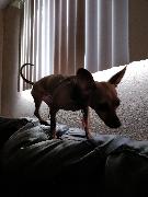 IMG_20180318_154935.jpg