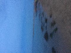 IMG_1942.JPG