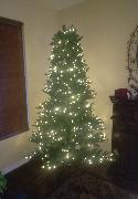 IMG_20151206_084346.jpg