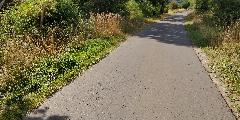 IMG_20180826_160314_008.jpg