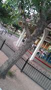 IMG_20130524_192238.jpg