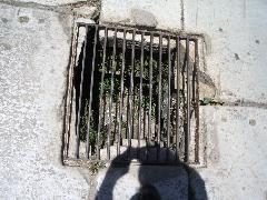 imgp0001_drain.jpg