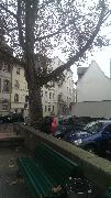 IMG_20131116_114229.jpg