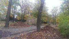 IMG_20131116_101146.jpg