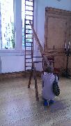 IMG_20130623_112655.jpg