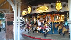 IMG_20130524_192005_1.jpg