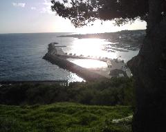 IMG00249.jpg