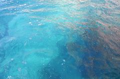 DSC06246.JPG