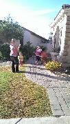IMG_20130525_174913.jpg
