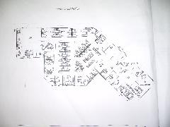 IMGP1686.JPG