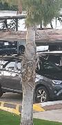 IMG_20190301_174450.jpg