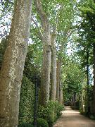 pict0033.jpg