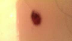 IMG_20130714_202541.jpg
