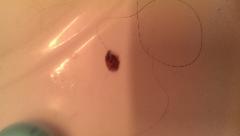 IMG_20130714_202547.jpg