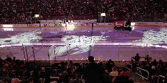 IMG_20190309_195334.jpg
