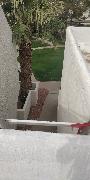 IMG_20190307_093739.jpg