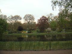 pict0006.jpg