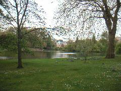 pict0007.jpg