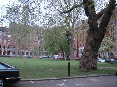 pict0013.jpg
