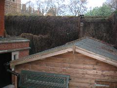 pict0024.jpg