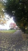 IMG_20131116_112507.jpg