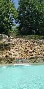 IMG_20200729_142915.jpg