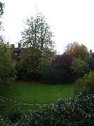 2008-10-30_000.jpg