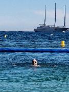 IMG_20180614_162152.jpg