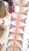 IMG_20130623_091901.jpg