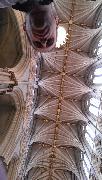 IMG_20130623_091903.jpg
