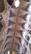 IMG_20130623_091904.jpg
