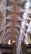 IMG_20130623_091906.jpg