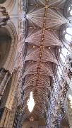 IMG_20130623_091907.jpg