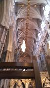 IMG_20130623_091918.jpg